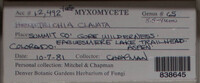 Image Associated With the Occurence
